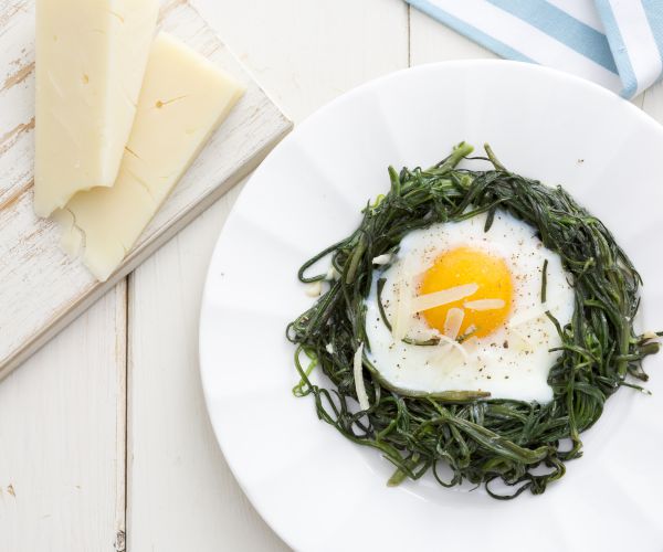 Nids de barbe de capucin