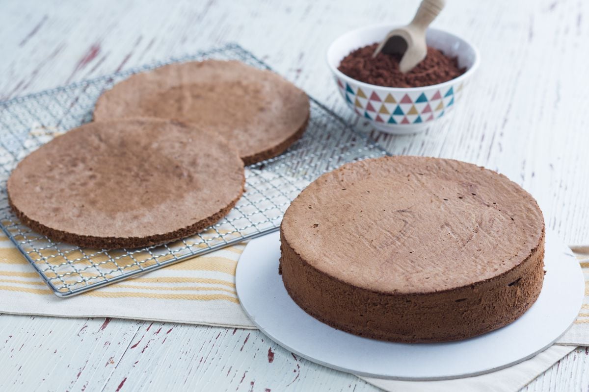 Génoise au cacao