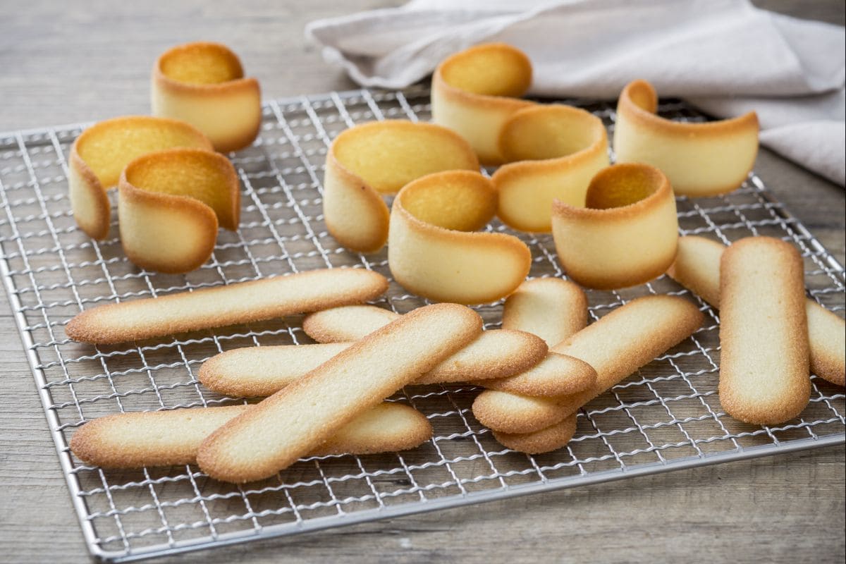 Langues de chat