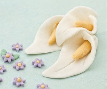 Pâte à sucre