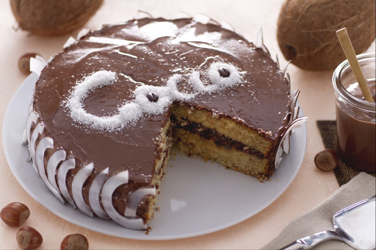 Gâteau à la noix de coco et Nutella