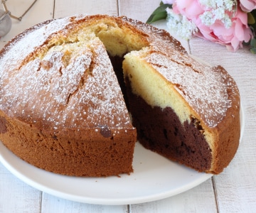 Gâteau bicolore