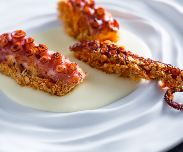 Poulpe grillé sur purée de pommes de terre