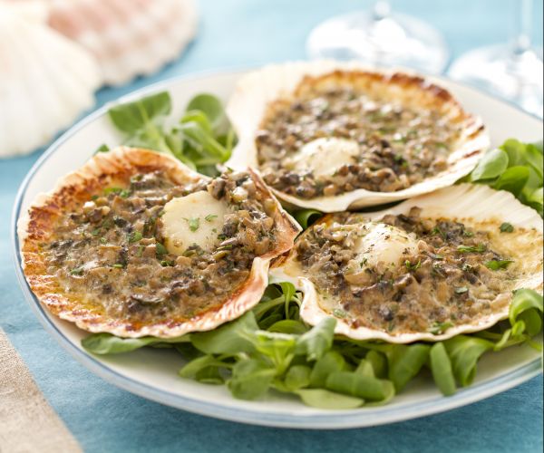 Coquilles Saint-Jacques au vin