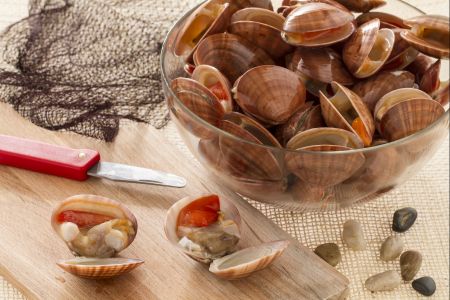 Comment nettoyer les fasolars