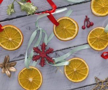 Tranches d'orange séchées