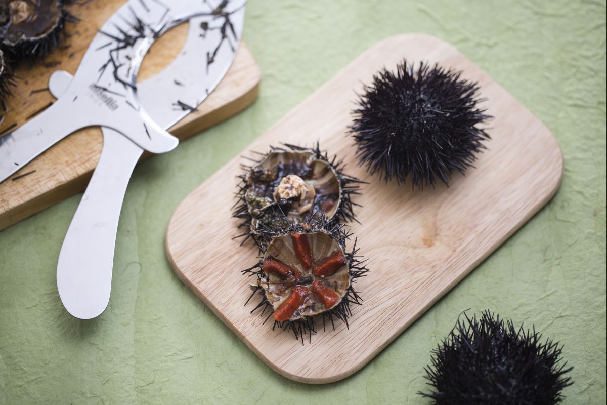 Comment nettoyer les oursins