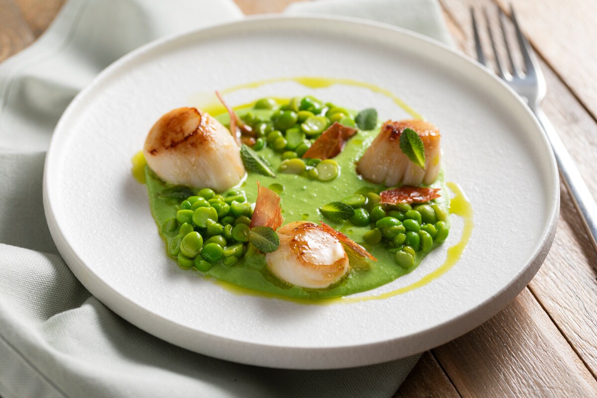 Coquilles Saint-Jacques poêlées sur crème de petits pois