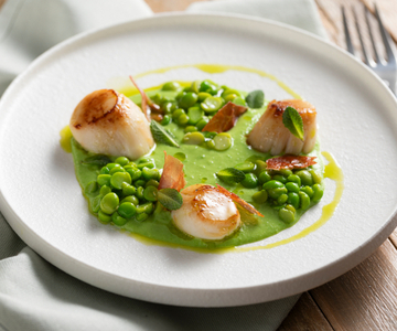 Coquilles Saint-Jacques poêlées sur crème de petits pois
