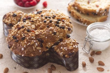 Colombe rapide aux fruits rouges