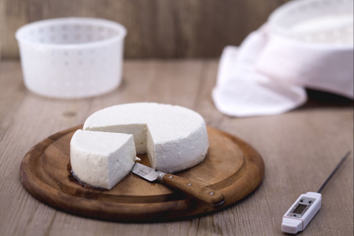 Premier fromage fait maison