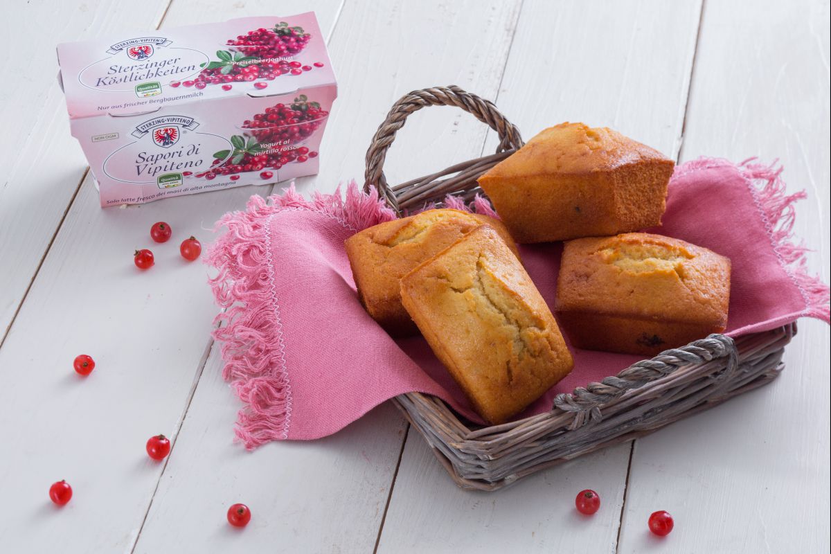 Mini cakes au yaourt et canneberges