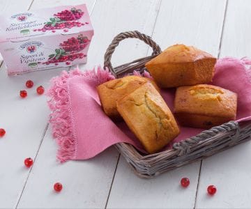 Mini cakes au yaourt et canneberges
