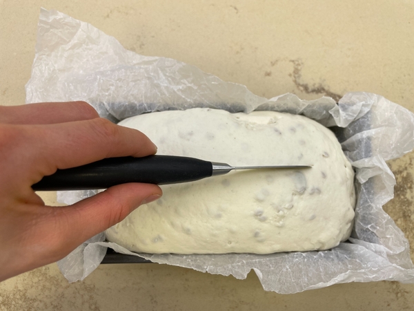 Pain sans gluten - step 2